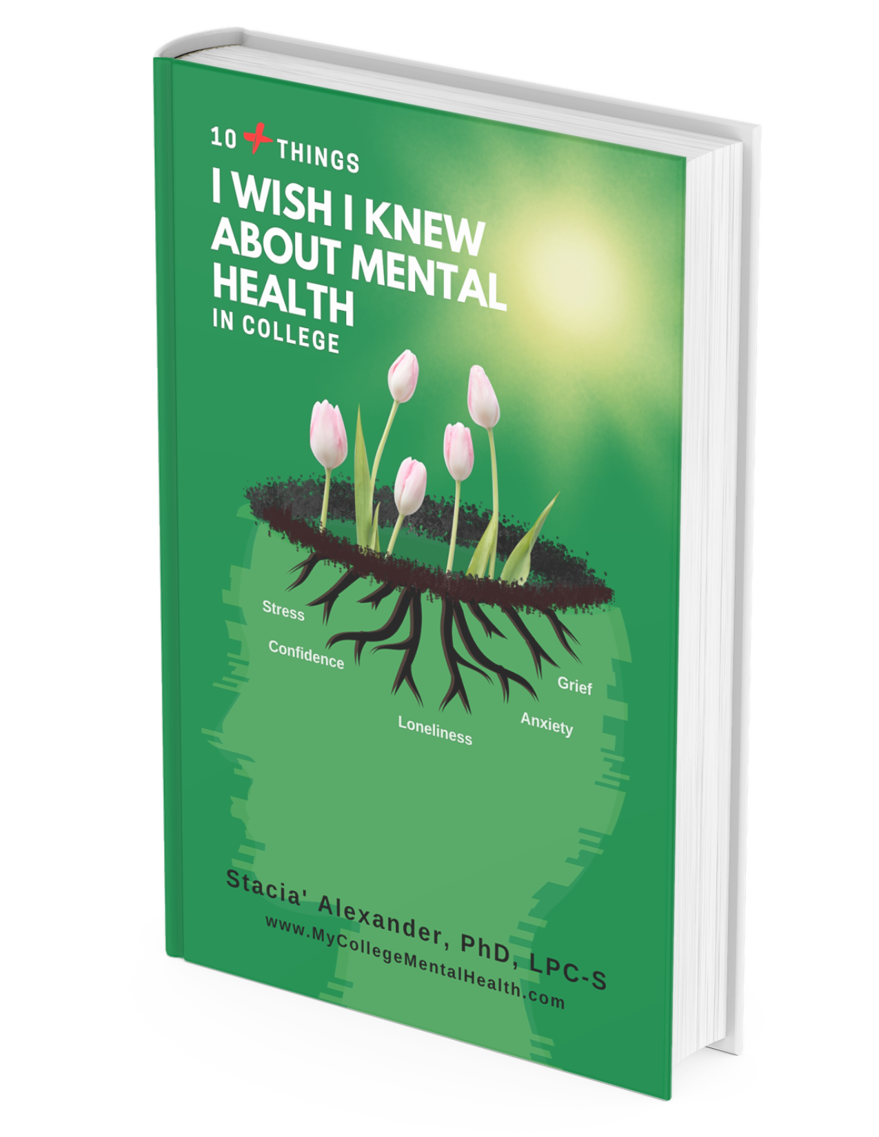10+ Things I Wish I Knew About Mental Health in College